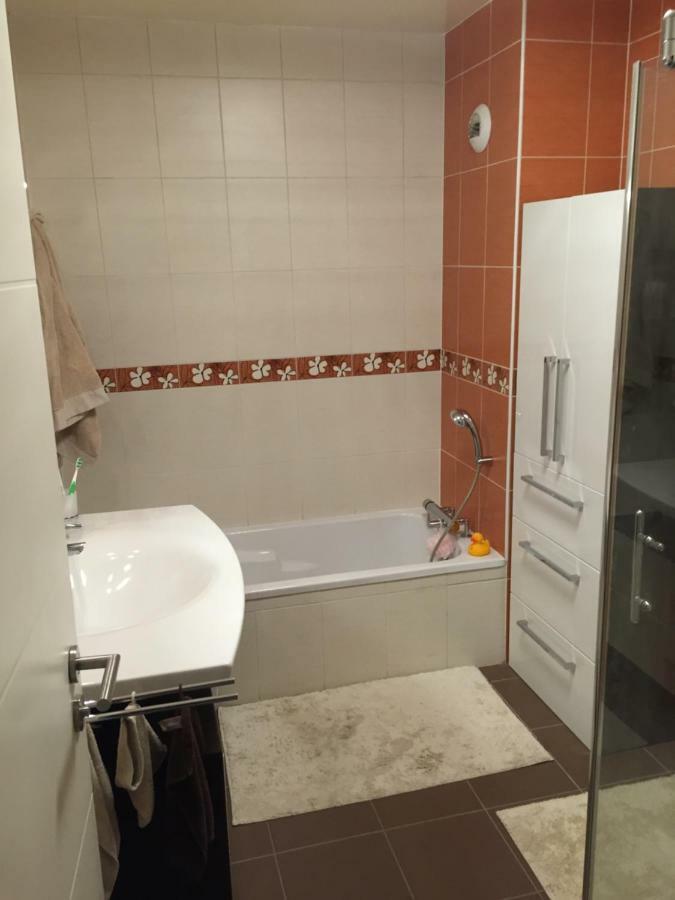 Appartement Des Trois Frontieres Apach Exterior photo
